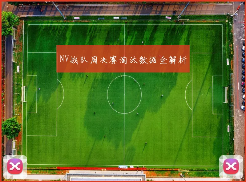 NV战队周决赛淘汰数据全解析