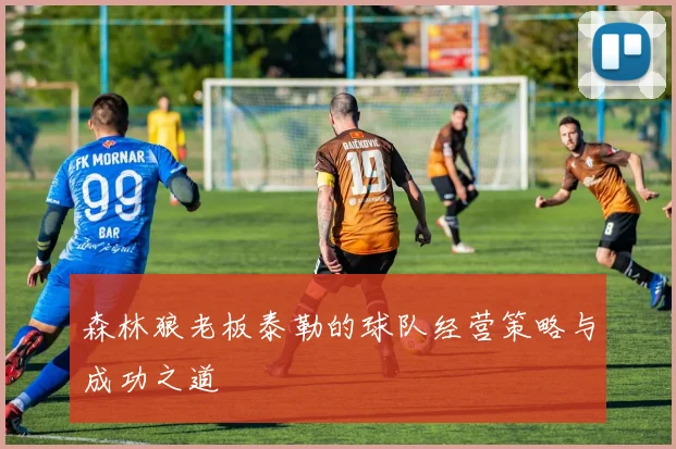 森林狼老板泰勒的球队经营策略与成功之道