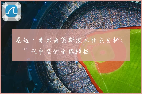恩佐·费尔南德斯技术特点分析：现代中场的全能模板