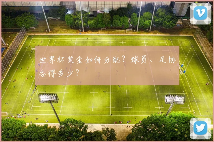 世界杯奖金如何分配？球员、足协各得多少？