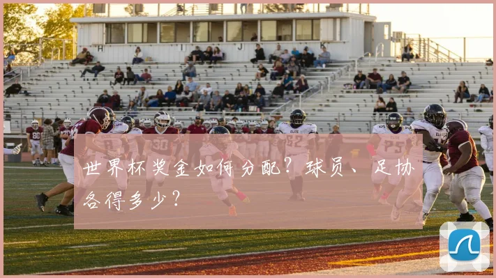 世界杯奖金如何分配？球员、足协各得多少？